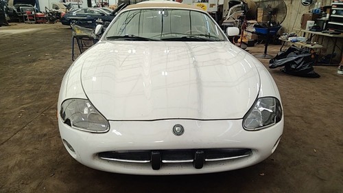 Strut front xk8 excluding - xk8, 20"